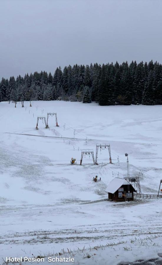 Hotel-Pension Schaetzle Schönwald エクステリア 写真